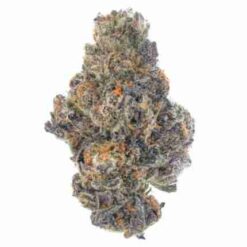 Purple Milk (Top Shelf Sativa)