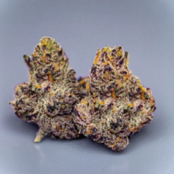 Walk In LA (Top Shelf Sativa)