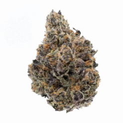Lemon Cherry Fuel (PREMIUM EXOTIC)