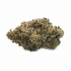 Bubblegum Glue (INDOOR Premium)