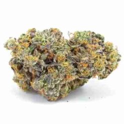 Cookies Gary Payton