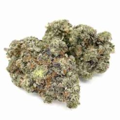Godfather OG (Premium)