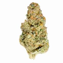 Grape Pie