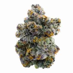 Kay (TOP SHELF Exotic)