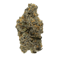 Lambo Candy (INDOOR EXOTIC)