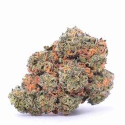 Maui Citrus Punch