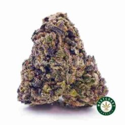 Cherry Diesel (Indoor Exotic)