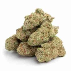 Tangerine Dream (Premium)