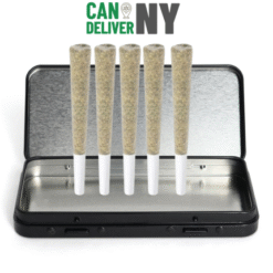 CDNY PREROLLS (5Pack TIN 1 GRAM/Per)
