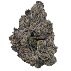White Runtz (Premium Exotic Indoor)
