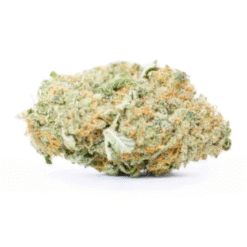 Blue Dream (Indoor Exotic)