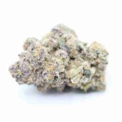 Blissful Wizard (Exotic Indoor)