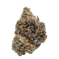 Bubblegum Popperz (Indoor Exotic)