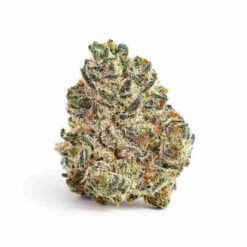 Oreoz (Premium Exotic)