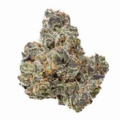 Apple Fritter (TOP SHELF Exotics)